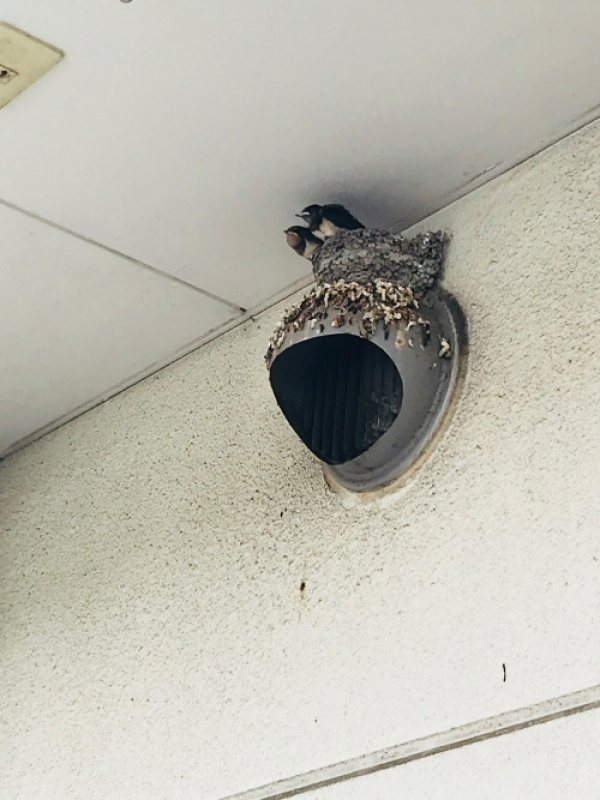 ■2018/09/03 横浜市金沢区で作業の帰り道。。